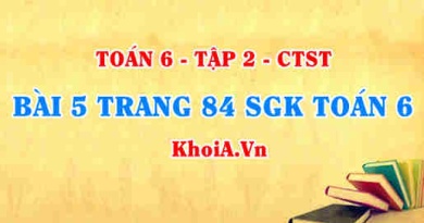 Bài 5 trang 84 SGK Toán 6 Tập 2 Chân trời sáng tạo